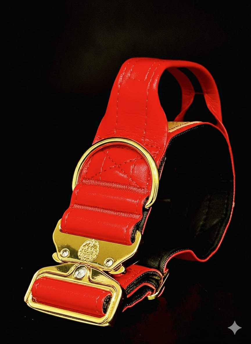 2"- Luxury Tactical Collar- Gold Hardwear